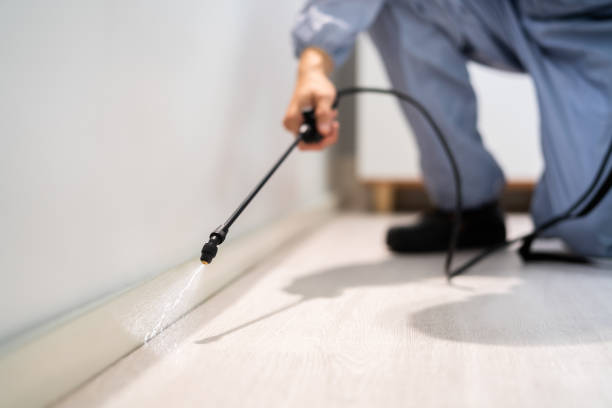 Licensed Termite Control service in Harrison, NJ - Nex Pest Control