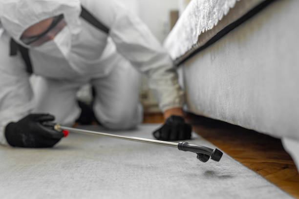 Professional Termite Control technician working in Harrison, NJ