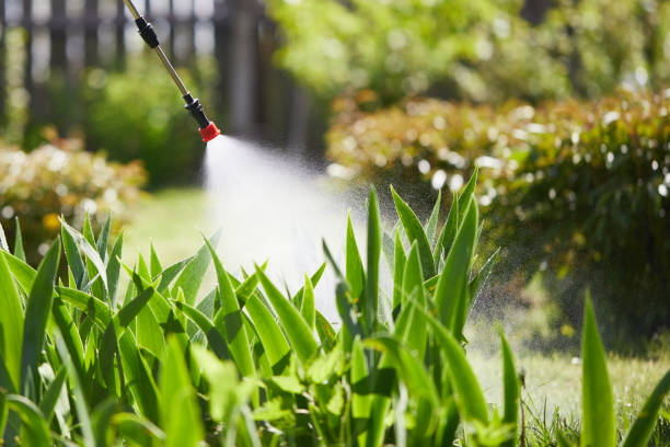 24/7 Emergency Termite Control experts in Harrison, NJ
