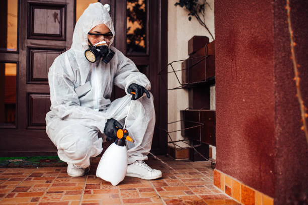 Reliable Termite Control contractor in Harrison, NJ by Nex Pest Control